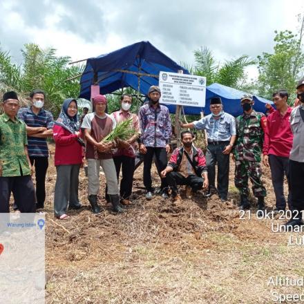 PEMBUATAN  LAHAN PERKEBUNAN JAHE